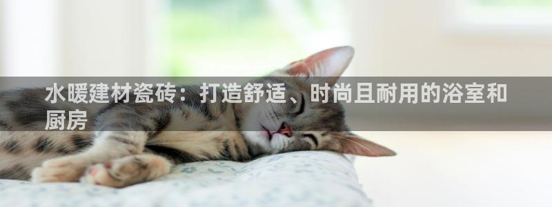 杏鑫官网注册账号密码是什么