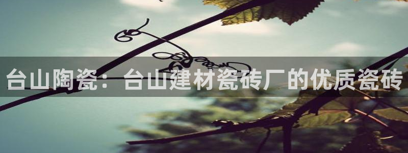 杏鑫平台野马联盟