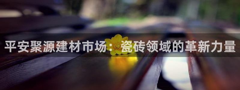 杏鑫平台代理注册流程