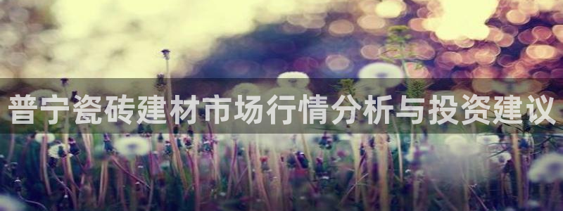 杏鑫平台注册网址查询