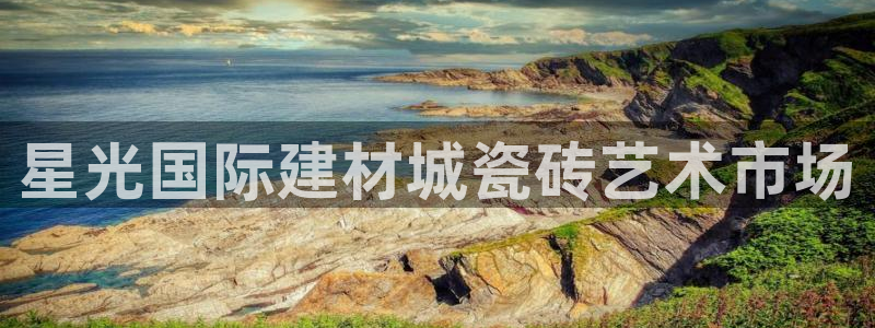 杏鑫官网注册账号密码忘了