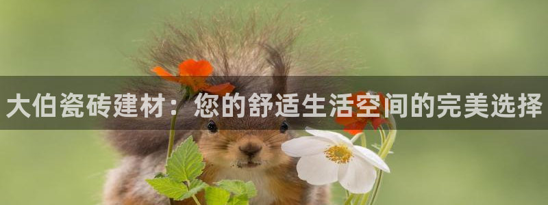 杏鑫平台注册地址