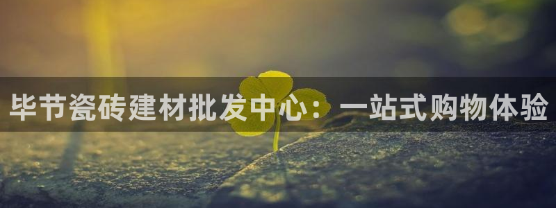 杏鑫平台代理注册多少钱一年