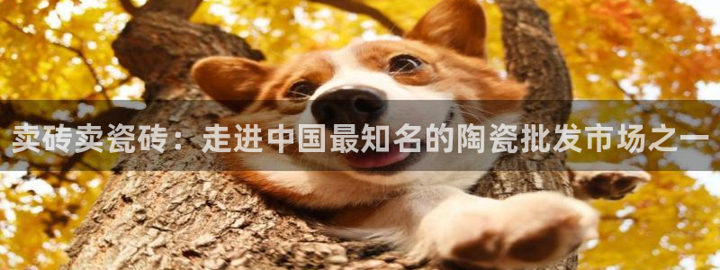 杏鑫平台测速怎么样