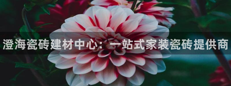 杏鑫官网注册账号是什么意思