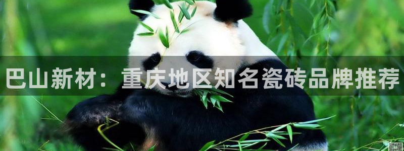 杏鑫注册登录平台是什么