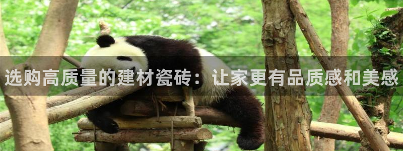 杏鑫注册登录网址是什么